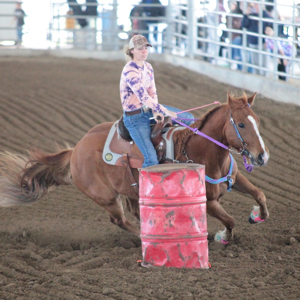 Meet your Posher, Maddie